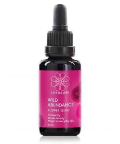 Wild Abundance Elixir Essence florale 30ml