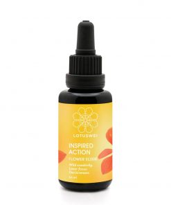 inspiredaction elixir 1200x