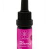 Wildabundance Anointingoil 2000x