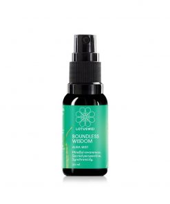 Boundless Wisdom 30ml Mist 2000x (1)