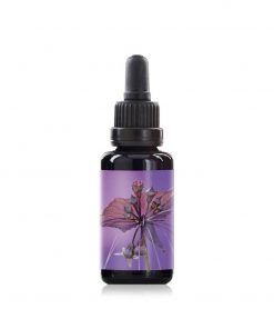 Black Bat Flower Elixir 2000x (1)