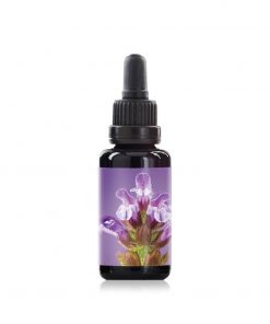 Self Heal Hero Image 2000x (1)