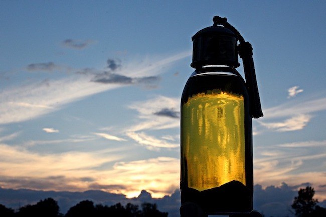 glossar arganöl titelbild