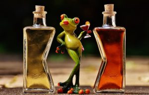 mythen und fakten bio alkohol titelbild