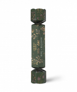 ancient + brave rise + recover christmas cracker